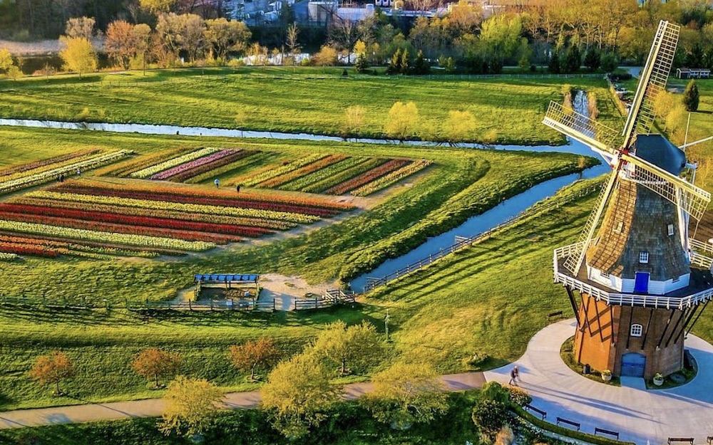 Ciekawostki na temat Holland w Michigan