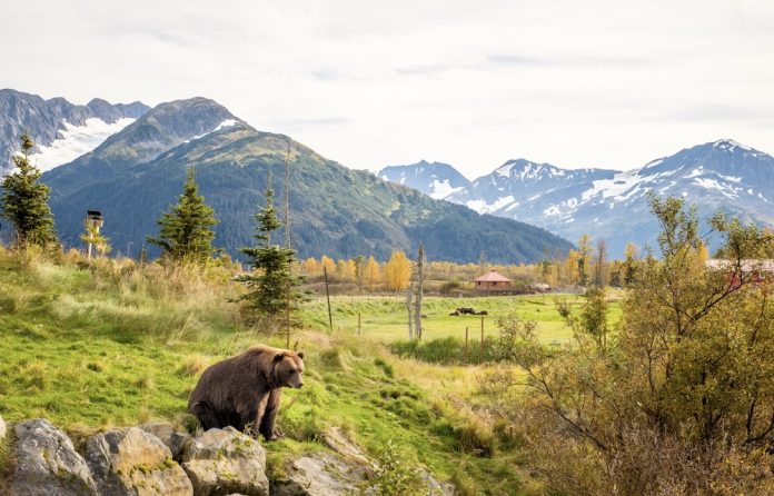 JAKIE MIEJSCA WARTO ODWIEDZI W ANCHORAGE NA ALASCE visual data 4